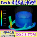 全国首套FLOW3D铸造模流分析语音视频教程 送软件