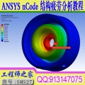 ANSYS nCode Designlife15.0结构疲劳分析计算视频教程